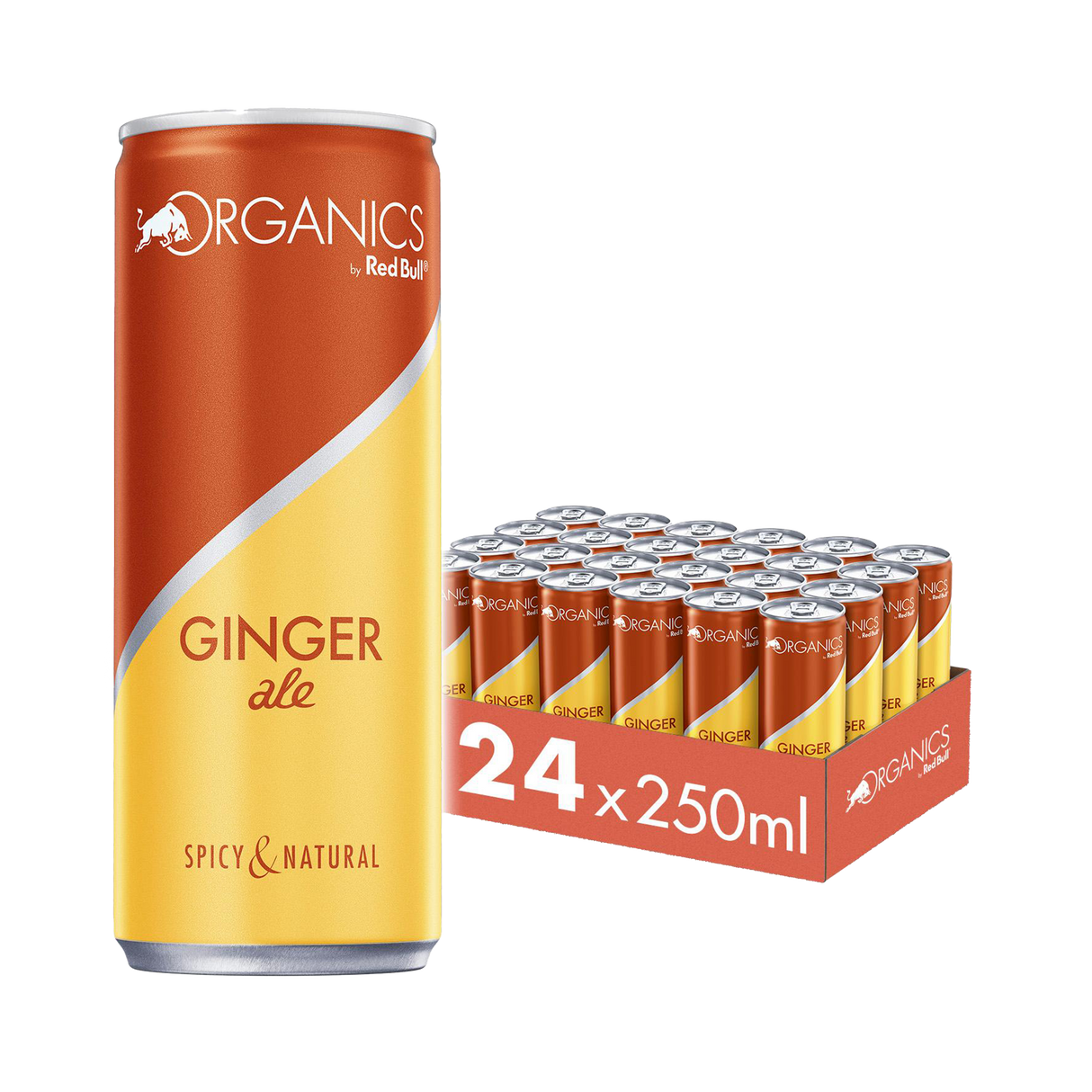 ORGANICS by Red Bull Ginger Ale 250ml Dose 24-Pack