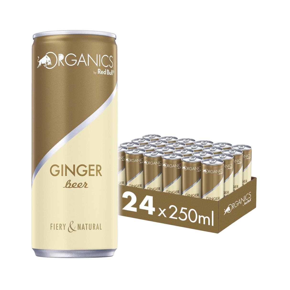 ORGANICS by Red Bull Ginger Beer 250ml Dose 24-Pack